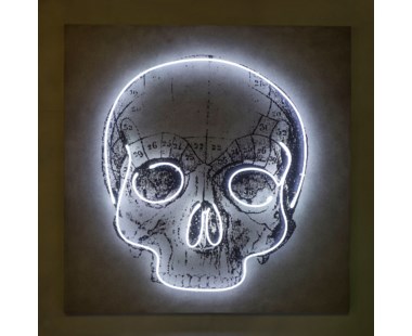 Neon Skull